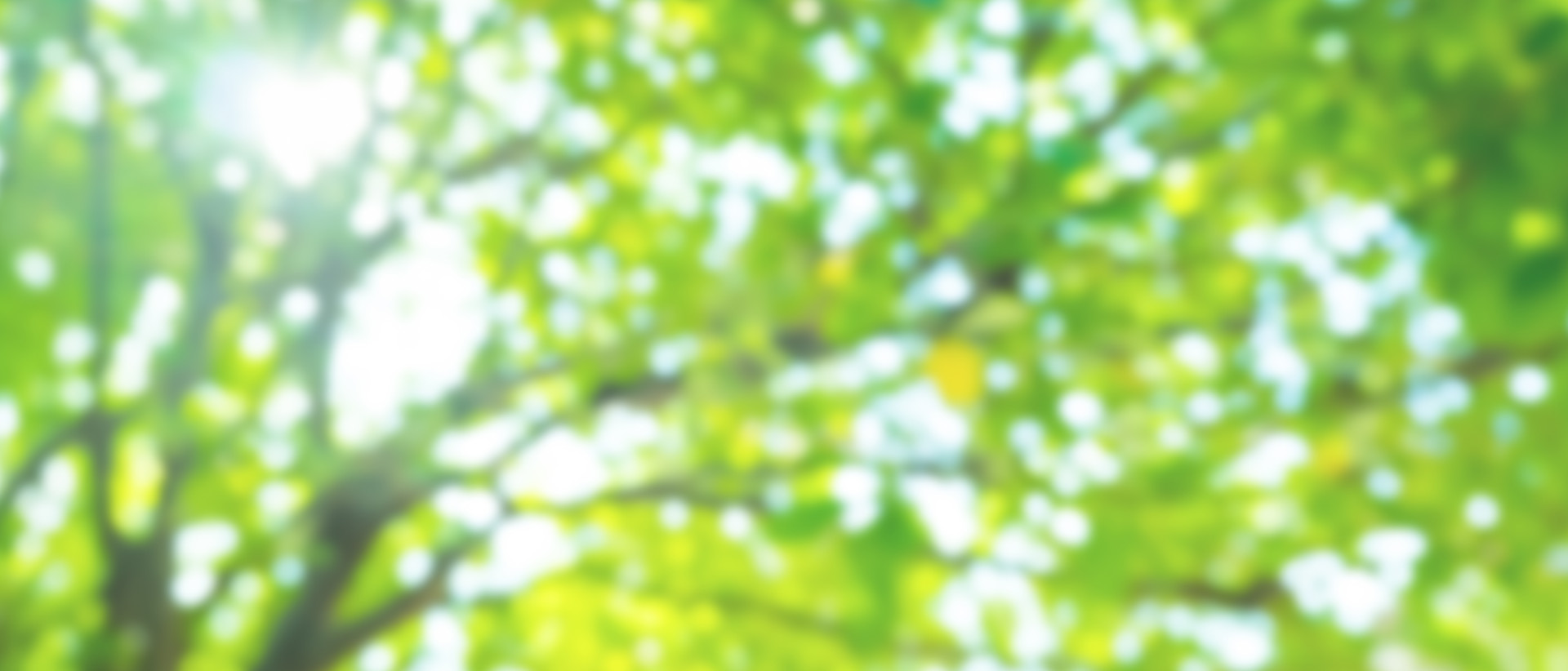 お問い合わせはこちら